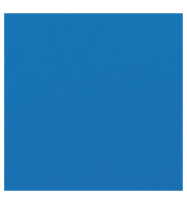 Copertine HiGloss per rilegatura - A4 - cartoncino lucido - blu - 250 gr - GBC - conf. 100 pezzi Copertine HiGloss per rilegatura - A4 - cartoncino lucido - blu - 250 gr - GBC - conf. 100 pezzi
