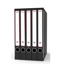Gruppo registratori Quintetto - con 5 cartelle 3 lembi - 23x32 cm - dorso 23 cm - grigio - Rexel