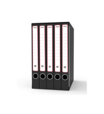 Gruppo registratori Sestetto - con 6 cartelle ad anelli - 25,5x34,5 cm - dorso 23 cm - grigio - Rexel Gruppo registratori Sestetto - con 6 cartelle ad anelli - 25,5x34,5 cm - dorso 23 cm - grigio - Rexel