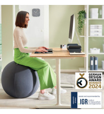 Palla Ergo Active - da seduta - 65 cm - grigio scuro - Leitz