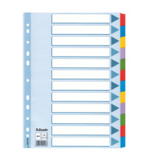 Intercalare Mylar -12 tasti colorati - A4 - Esselte Intercalare Mylar -12 tasti colorati - A4 - Esselte