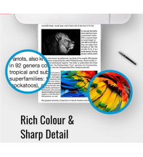 Pack 15 cartucce T2991 T2992 T2993 T2994 compatibili per Epson XP-235 ,XP-332,XP-335,XP-432 29XL 6PZ T2991,3pz T2992,T2993,T2994