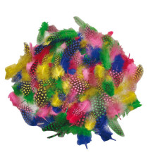 Piume tropicali - dimensione 50-100 mm - colori assortiti - DECO - conf. 100 pezzi Piume tropicali - dimensione 50-100 mm - colori assortiti - DECO - conf. 100 pezzi