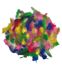 Piume tropicali - dimensione 50-100 mm - colori assortiti - DECO - conf. 100 pezzi Piume tropicali - dimensione 50-100 mm - colori assortiti - DECO - conf. 100 pezzi