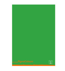 Maxiquaderno Pigna Colours - A4 - 1 rigo - 42 fogli - 80 gr - Pigna Maxiquaderno Pigna Colours - A4 - 1 rigo - 42 fogli - 80 gr - Pigna
