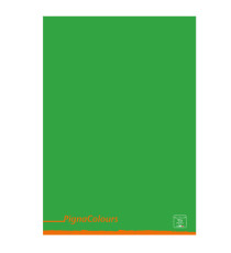Maxiquaderno Pigna Colours - A4 - 1 rigo - 42 fogli - 80 gr - Pigna Maxiquaderno Pigna Colours - A4 - 1 rigo - 42 fogli - 80 gr - Pigna
