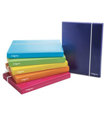 Cartella con elastico - PPL - colori assortiti - dorso 25 mm - Colorosa