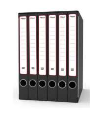 Gruppo registratori Sestetto - 23 x 33 cm - con 6 cartelle 3 lembi - dorso 23 cm - grigio - Rexel