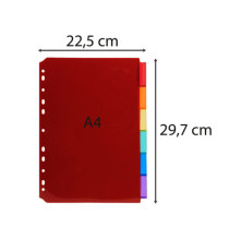 Intercalari neutri - PP - A4 - trasparente - 6 posizioni - Exacompta
