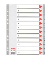Separatore numerico 1/12 - PP - A4 - 22,5x29,7 cm - grigio - Esselte