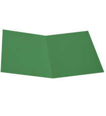 Cartellina semplice - 200 gr - A4 - cartoncino bristol - verde - Starline - conf. 50 pezzi