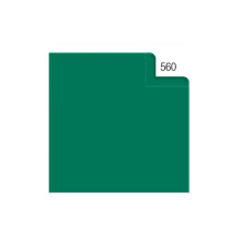 Carta velina - 50 x 70 cm - 20 gr - verde 560 - Rex Sadoch - busta 26 fogli