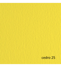 Cartoncino Elle Erre - 50 x 70 cm - 220 gr - cedro 25 - Fabriano - blister 20 fogli