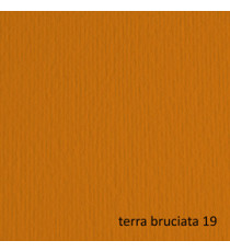 Cartoncino Elle Erre - 70 x 100 cm - 220 gr - terra bruciata 119 - Fabriano - blister 10 fogli
