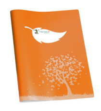 Coprimaxi Green - 21 x 30 cm - carta - 120gr  - c/tasche - arancione - Colorosa