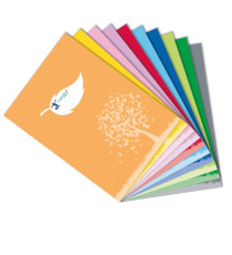 Coprimaxi Green - 21 x 30 cm - carta - 120gr  - c/tasche - azzurro - Colorosa