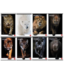 Maxiquaderno Animal - A4 - 4 mm c/margine - 42 fogli - 80 gr - Pigna