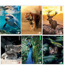 Maxiquaderno Animal fantasia - A4 - 10mm - 40+2 fogli - 80gr - BM