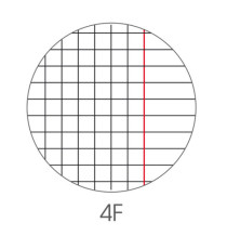 Maxiquaderno Be More Wild - A4 - 4mm c/margine - 36+2 fogli - 100gr - BM