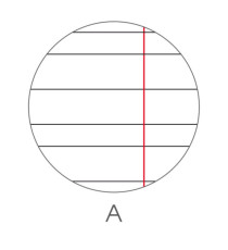 Maxiquaderno Be More Wild - A4 - rigo di 1a - 36+2 fogli - 100gr - BM