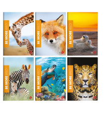 Maxiquaderno Be More Wild - A4 - rigo di 3a - 36+2 fogli - 100gr - BM
