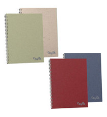 Maxiquaderno Crush - A4 - 5mm - 60 fogli - 80 gr - spiralato - Favini