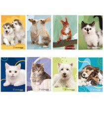 Maxiquaderno Cucciolissimi  - A4 - 4 mm c/margine - 21 fogli - 80 gr - Blasetti