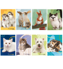 Maxiquaderno Cucciolissimi  - A4 - 4 mm c/margine - 21 fogli - 80 gr - Blasetti