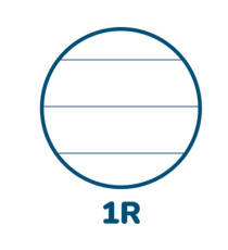 Maxiquaderno Monocromo - A4 - 1 rigo - 100 fogli - 80gr - 1 rigo - c/fori - spiralato - Pigna