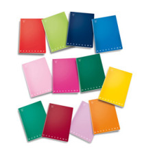 Maxiquaderno Monocromo - A4 - 1 rigo - 42 fogli - 80gr -Pigna