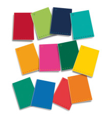 Quaderno Monocromo - A5 - 1 rigo c/margine - 42 fogli - 80 gr - Pigna