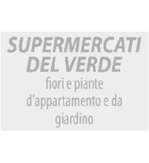 Gomma di ricambio 20x30mm personalizzabile per timbro autoinchiostrante o manuale max 5 righe alta qualità