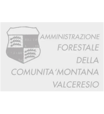 Gomma di ricambio 30x45mm personalizzabile per timbro autoinchiostrante o manuale max 7 righe alta qualità