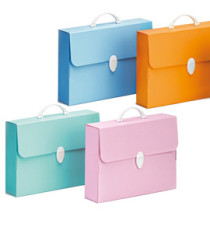 Valigetta Polionda Every Line Pastel - 27x37,5 cm - dorso 8 cm - Favorit