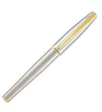 Penna stilografica Aldo Domani - punta M - fusto silver - Monteverde