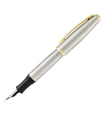 Penna stilografica Aldo Domani - punta M - fusto silver - Monteverde