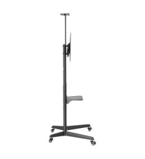 Supporto a pavimento - per TV da 37'' a 70'' - Ewent