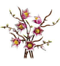 Lego The Botanical Collection - Rametti di magnolia - Lego 11510 5 Magnolie Artificiali Anni 18+ 435pz