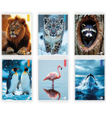 Maxiquaderno Animal fantasia - A4 -  5mm c/margine - 40+2 fogli - 80gr - BM