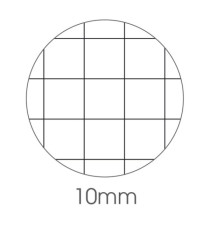 Maxiquaderno Animal fantasia - A4 - 10mm - 40+2 fogli - 80gr - BM