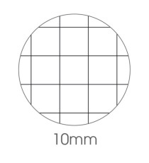 Maxiquaderno Cute fantasia - A4 - 10mm - 40+2 fogli - 80gr - BM