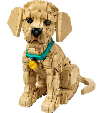 Lego Icons - Cucciolo di Golden Retriever - Lego 11384 con Collare e Medaglietta per Cane 2102pz Anni 18+