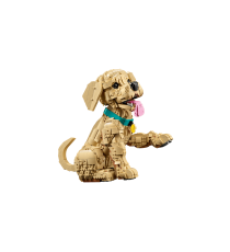 Lego Icons - Cucciolo di Golden Retriever - Lego 11384 con Collare e Medaglietta per Cane 2102pz Anni 18+