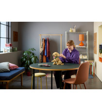 Lego Icons - Cucciolo di Golden Retriever - Lego 11384 con Collare e Medaglietta per Cane 2102pz Anni 18+