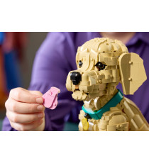 Lego Icons - Cucciolo di Golden Retriever - Lego 11384 con Collare e Medaglietta per Cane 2102pz Anni 18+