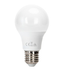 Lampadina led A60 17W attacco E27 1500 lumen 6500K luce fredda MISURA D60Hx119mm Equivalenza lampada incandescente: 99W