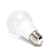 Lampadina led A60 17W attacco E27 1500 lumen 6500K luce fredda MISURA D60Hx119mm Equivalenza lampada incandescente: 99W