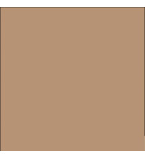Cartine antigrasso per alimenti - 33 x 32,5 cm - avana - Leone - conf. 500 pezzi
