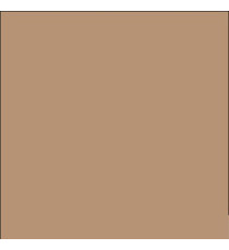 Cartine antigrasso per alimenti - 33 x 32,5 cm - avana - Leone - conf. 500 pezzi