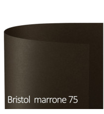 Cartoncino Bristol Color - 50 x 70 cm - 200 gr - marrone 75 - Favini - conf. 25 fogli